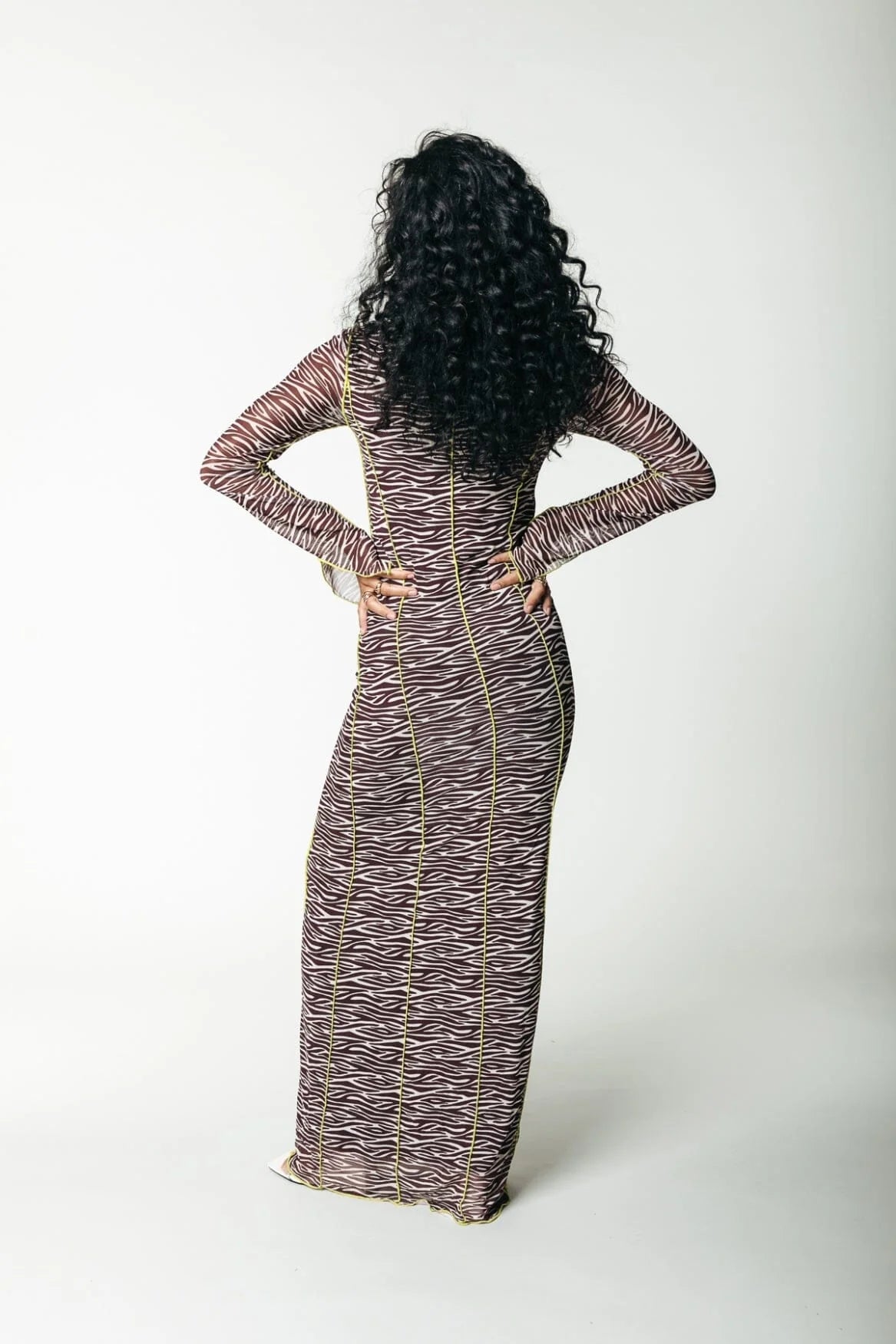 Colourful Rebel | Maude zebra mesh dress | Dark brown