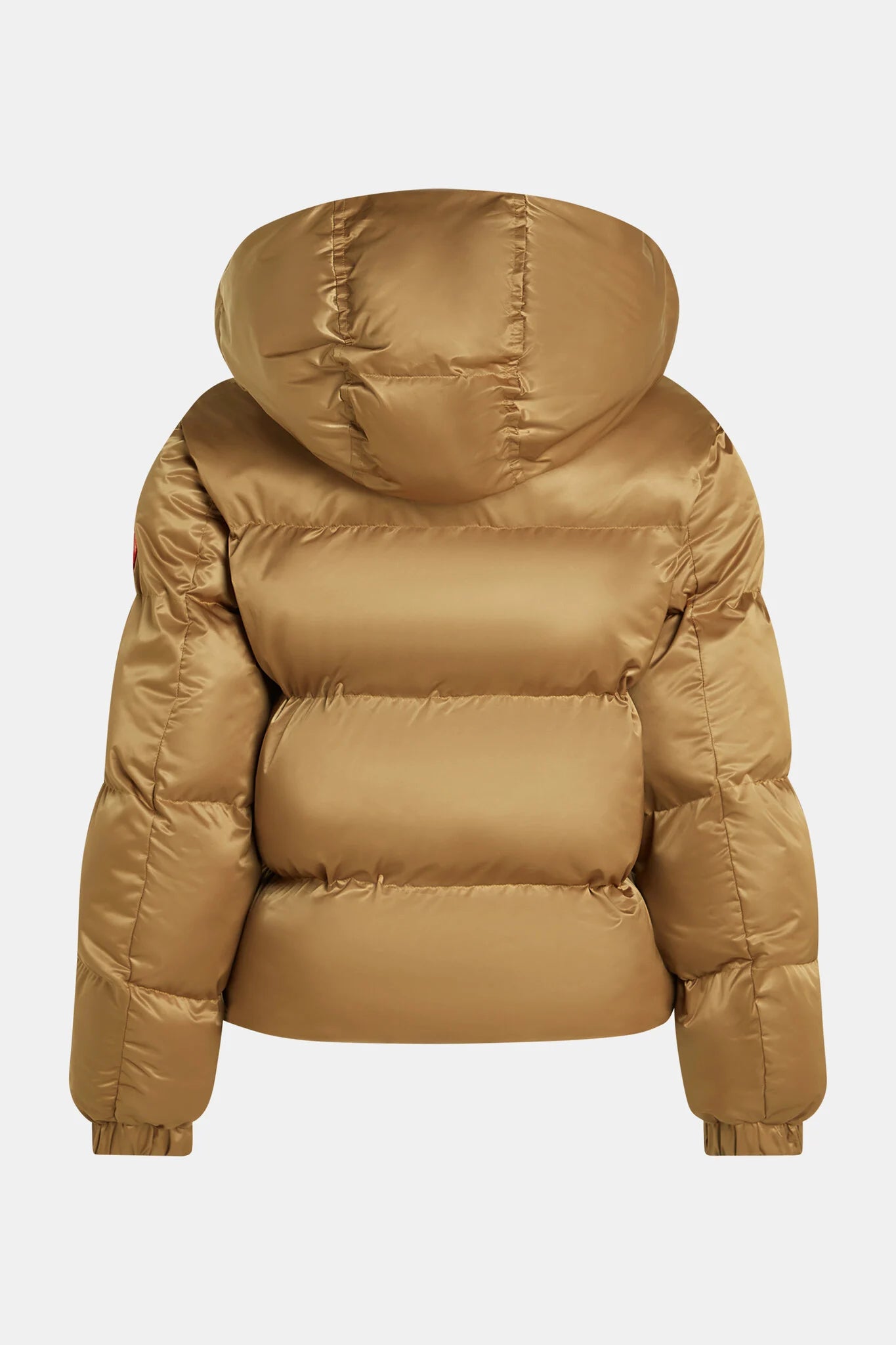Penn & Ink | Jacket - Camel/Tomato (W25C291)