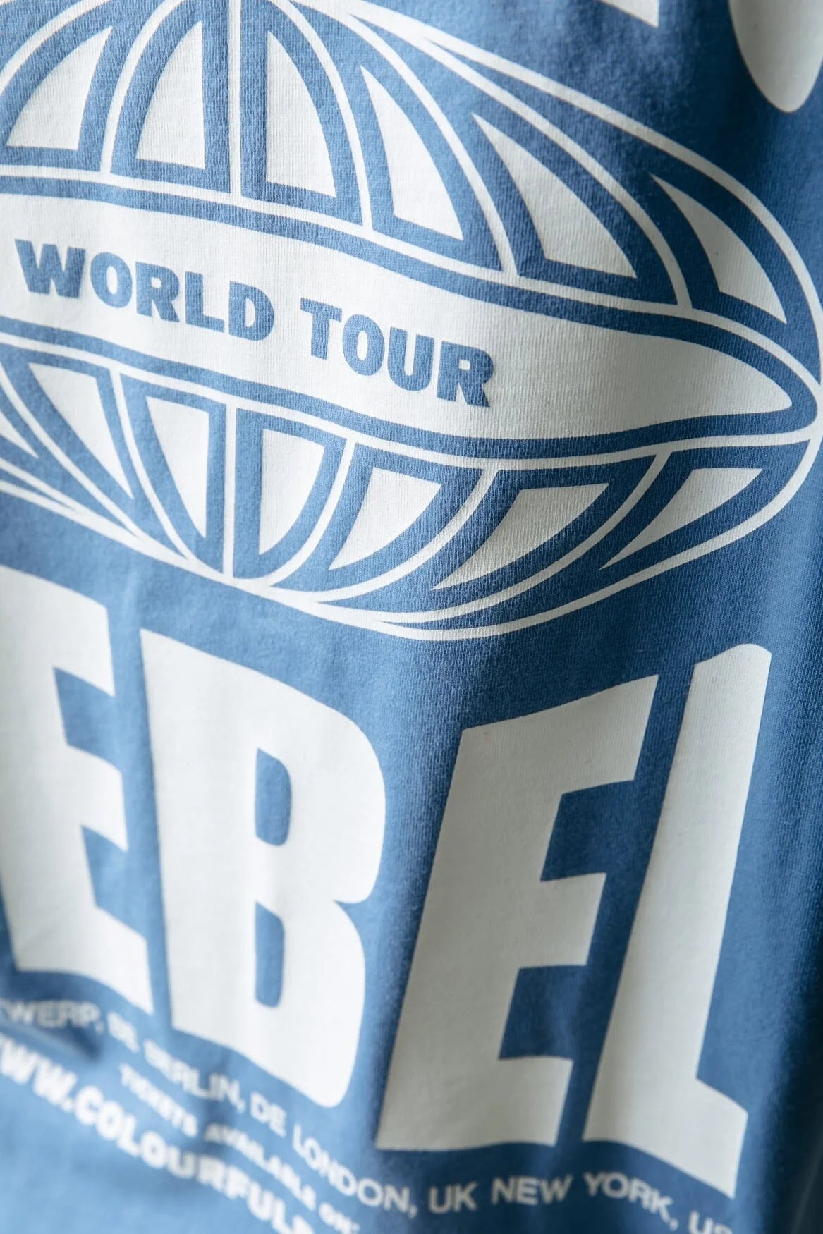Colourful Rebel | Logo Globe T-shirt - Light Grey Blue (WT116854)