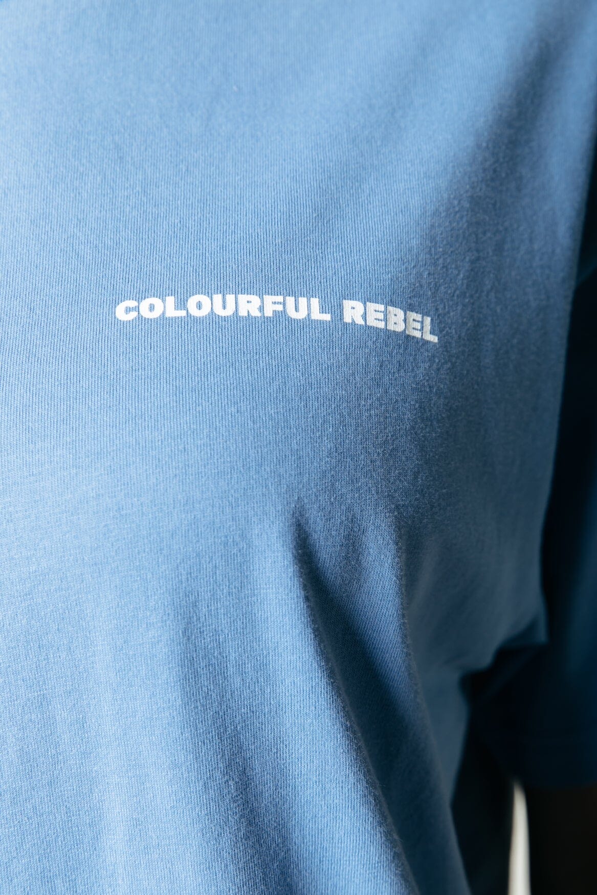Colourful Rebel | Logo Globe T-shirt - Light Grey Blue (WT116854)